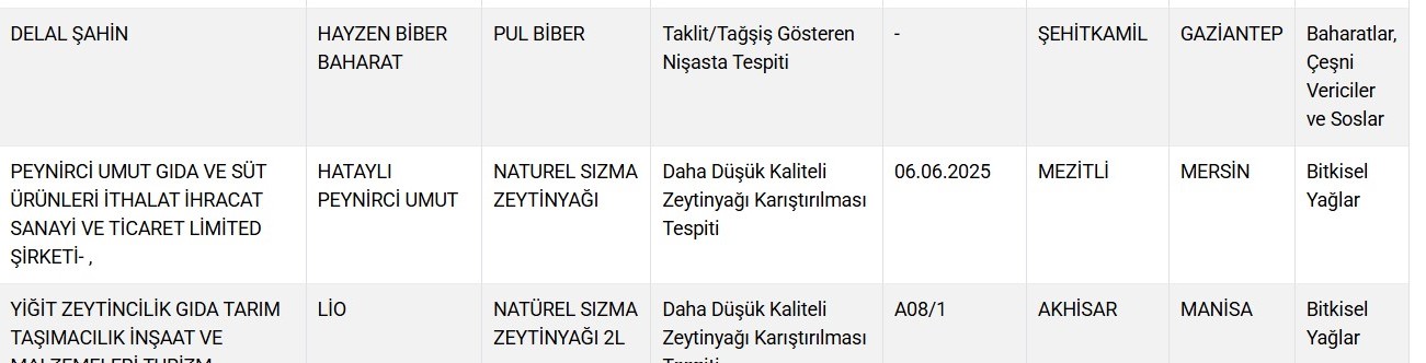 Ekran Görüntüsü 2025 06 11 092511