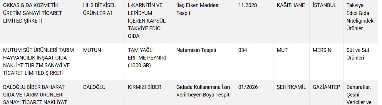 Ekran Görüntüsü 2025 06 11 092617