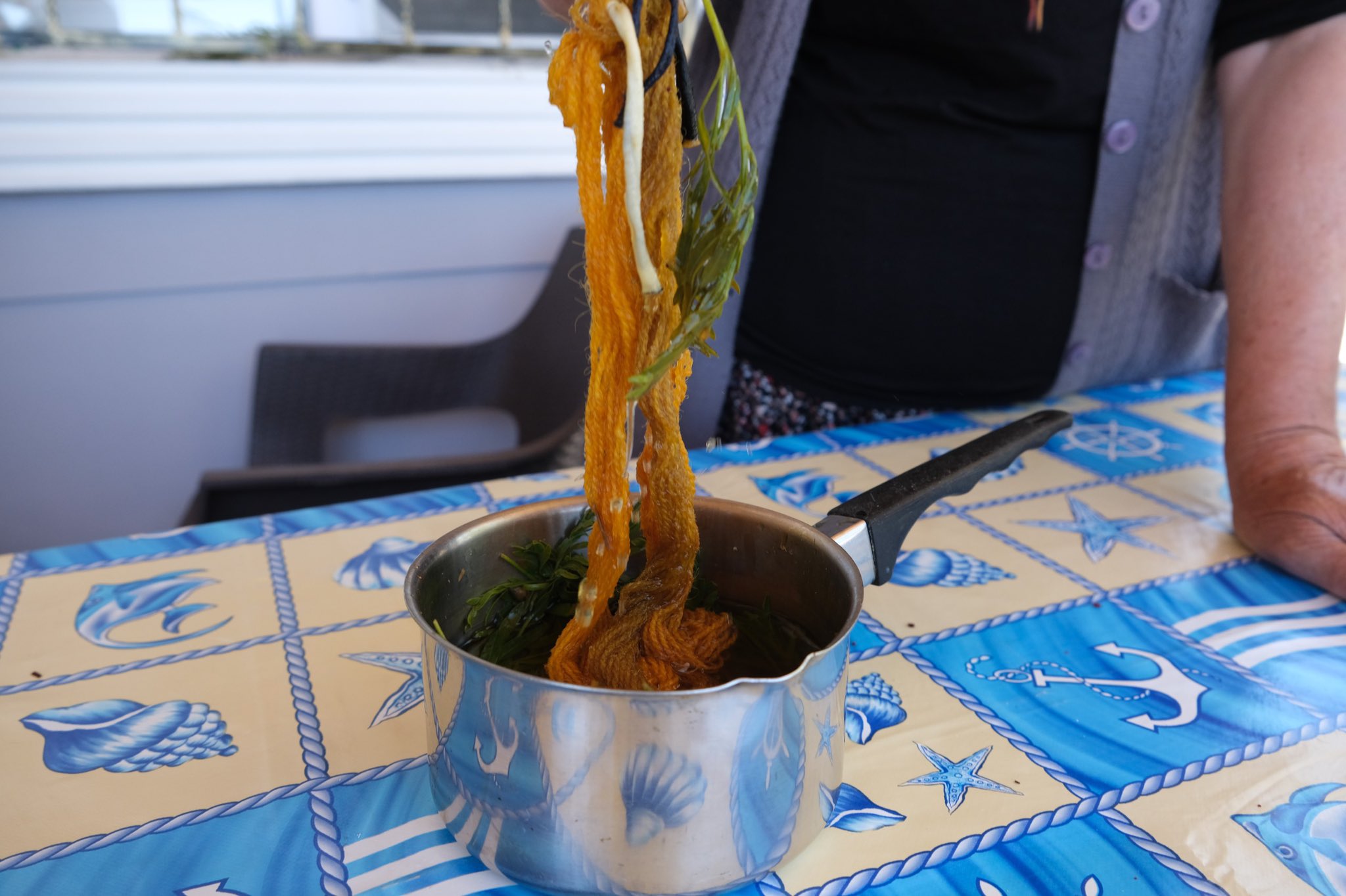 Gu X Usfs X0 A A Tx Hh