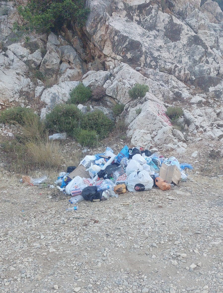 Whatsapp Görsel 2025 06 17 Saat 12.22.32 42C7568A