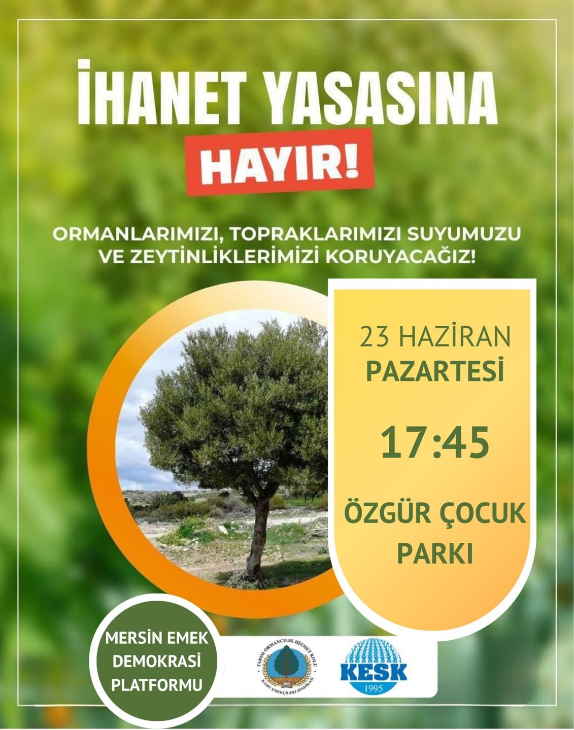 Whatsapp Görsel 2025 06 22 Saat 16.05.52 654A3C2B