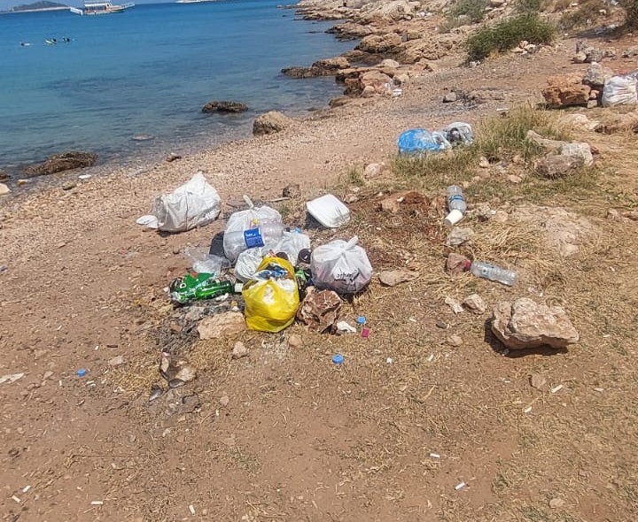 Whatsapp Image 2025 06 14 At 09.25.10