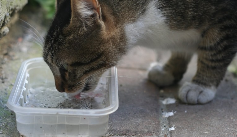 Whatsapp Image 2025 06 15 At 10.21.04 (1)