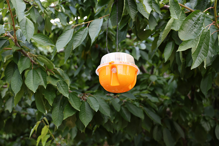 Cem Bucuge, Başkan Yıldız'a Ve Ekibine Teşekkür Etti (1)