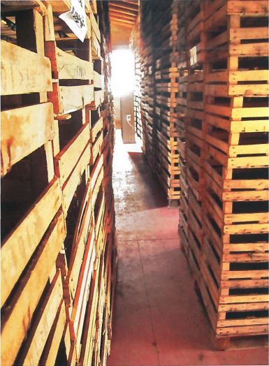 Grape Drying In Valpolicella