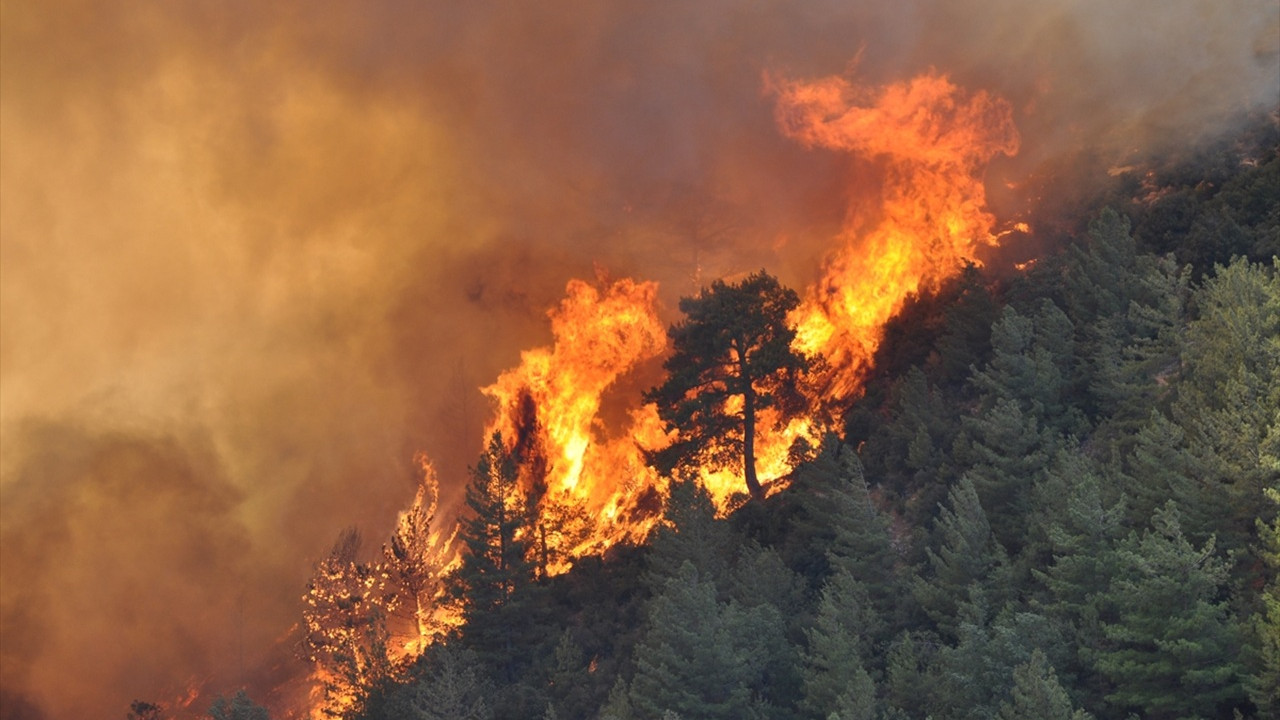Mersin Silifkede Orman Yangini 190 Kisi Tahliye Edildi R6Ri