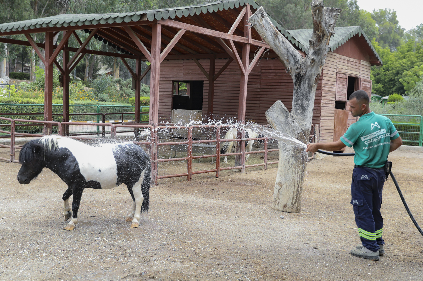 Tarsus Doğa Parki’nda Hayvanlari Seri̇nleten Çalişmalar… (7)