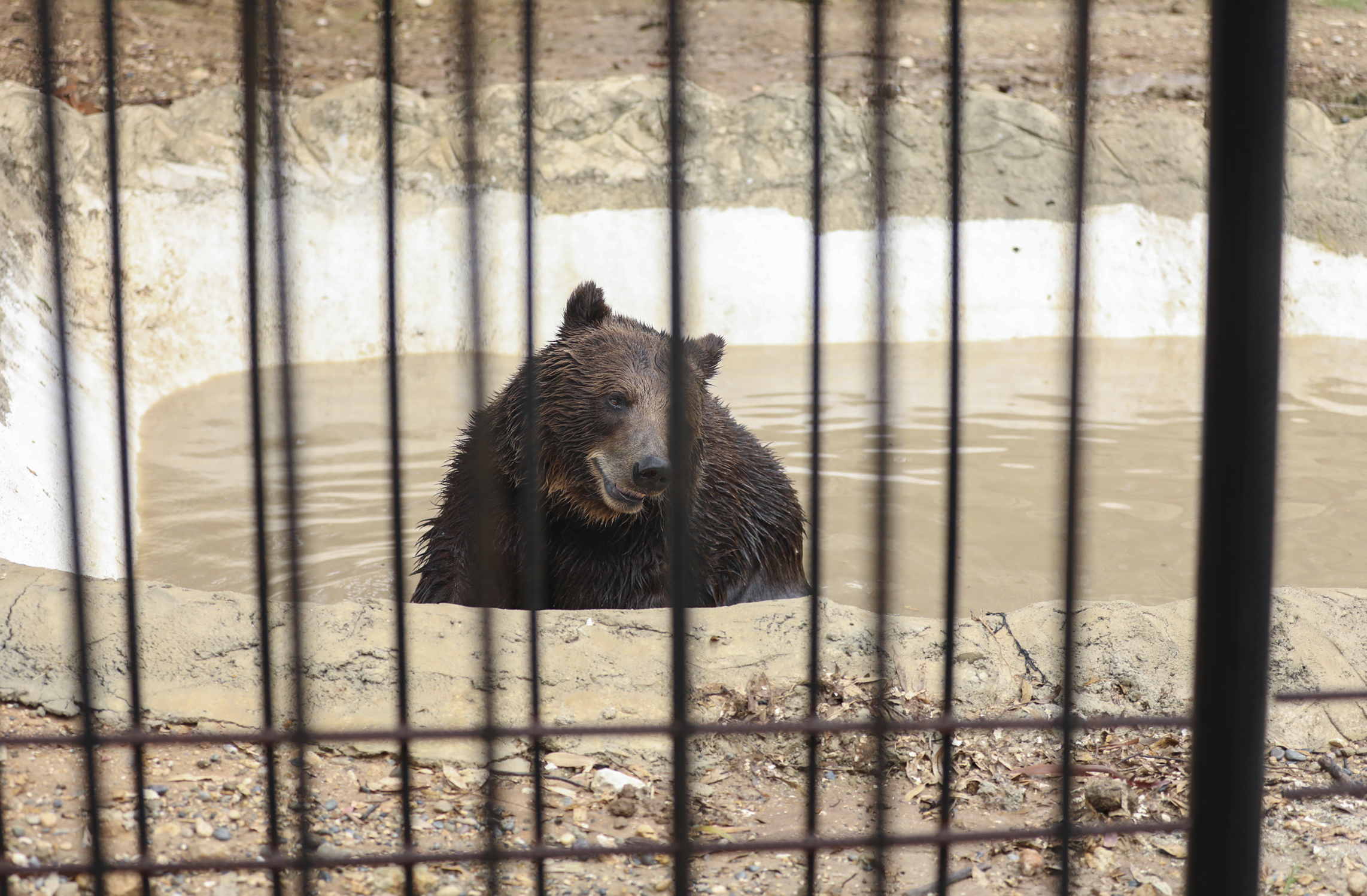 Tarsus Doğa Parki’nda Hayvanlari Seri̇nleten Çalişmalar… (9)