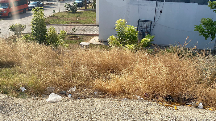 Whatsapp Görsel 2025 08 05 Saat 10.14.19 A227Ca69