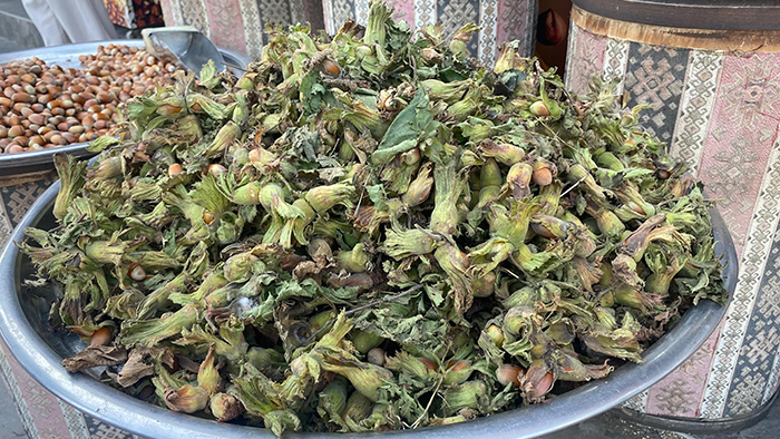 Whatsapp Görsel 2025 08 14 Saat 13.56.55 8998F896