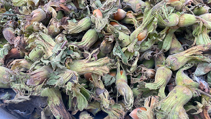 Whatsapp Görsel 2025 08 14 Saat 13.56.56 28A55B21