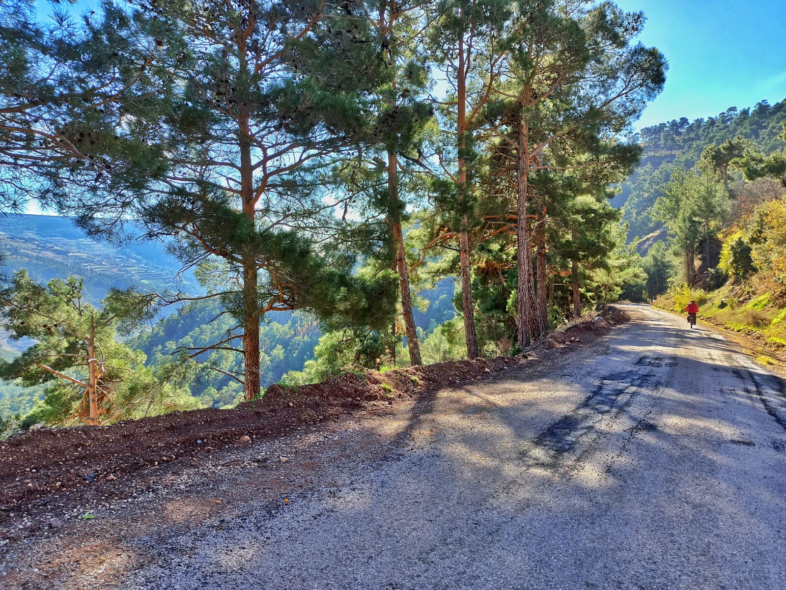 Whatsapp Image 2023 12 26 At 23.53.29