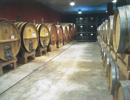 Wines Maturing Italy Barolo