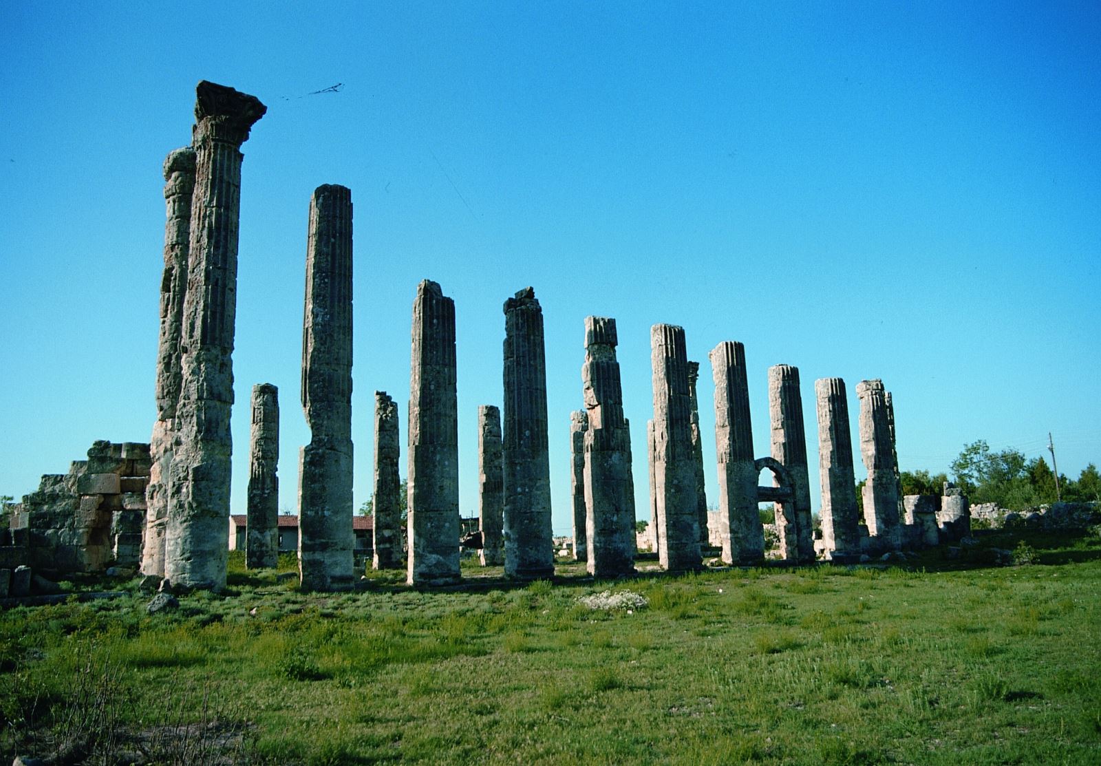 24022013 8860336C B9E3 4A0A 8F2C C3Bde190C97B