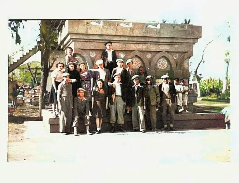 315028112 133550966147536 3124200054674346414 N