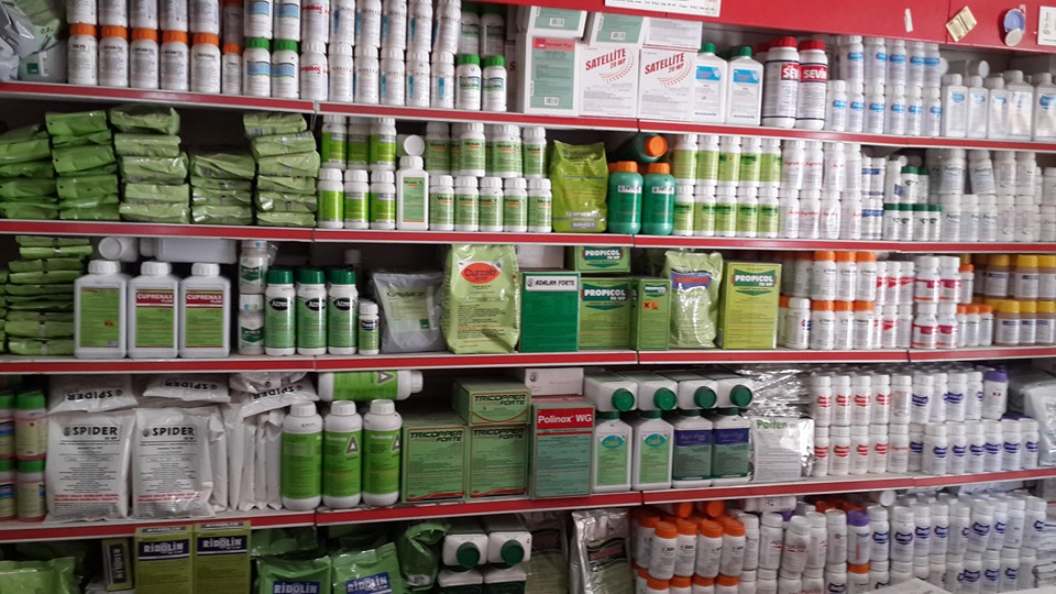 486234379 1175928167878334 8613166961790183963 N