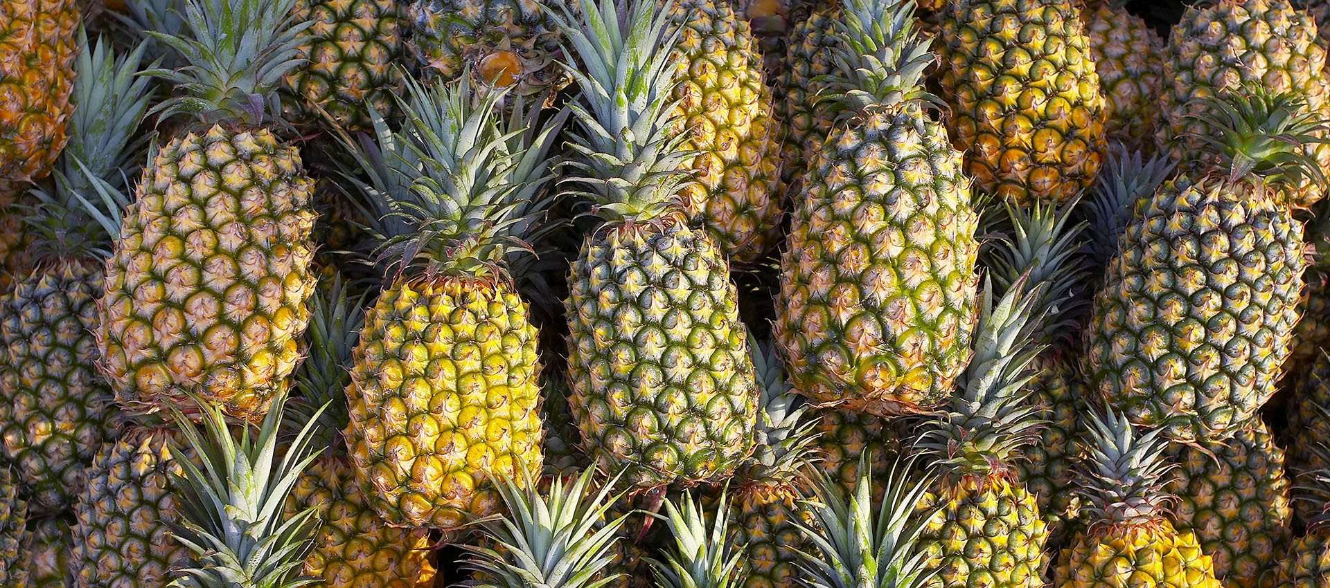 Ananas