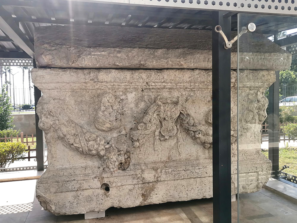 I M G 20251006 W A0018