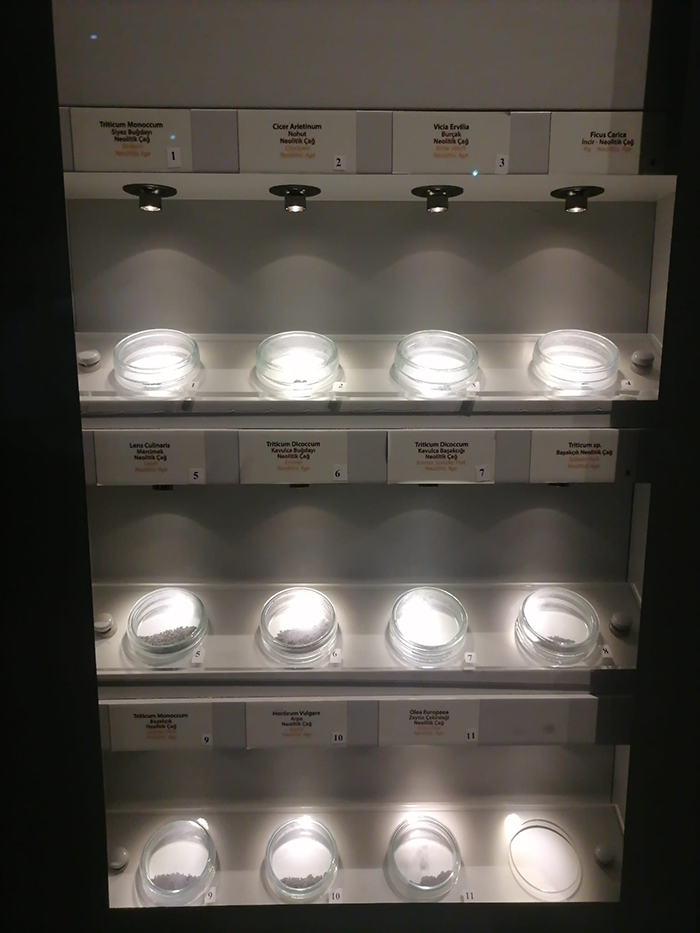 I M G 20251006 W A0248