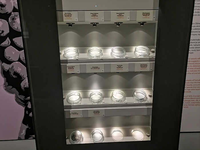 I M G 20251006 W A0251