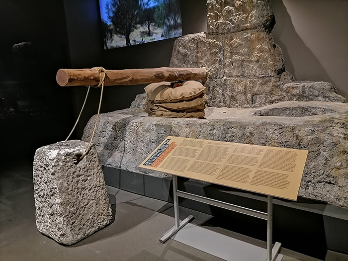 I M G 20251006 W A0286