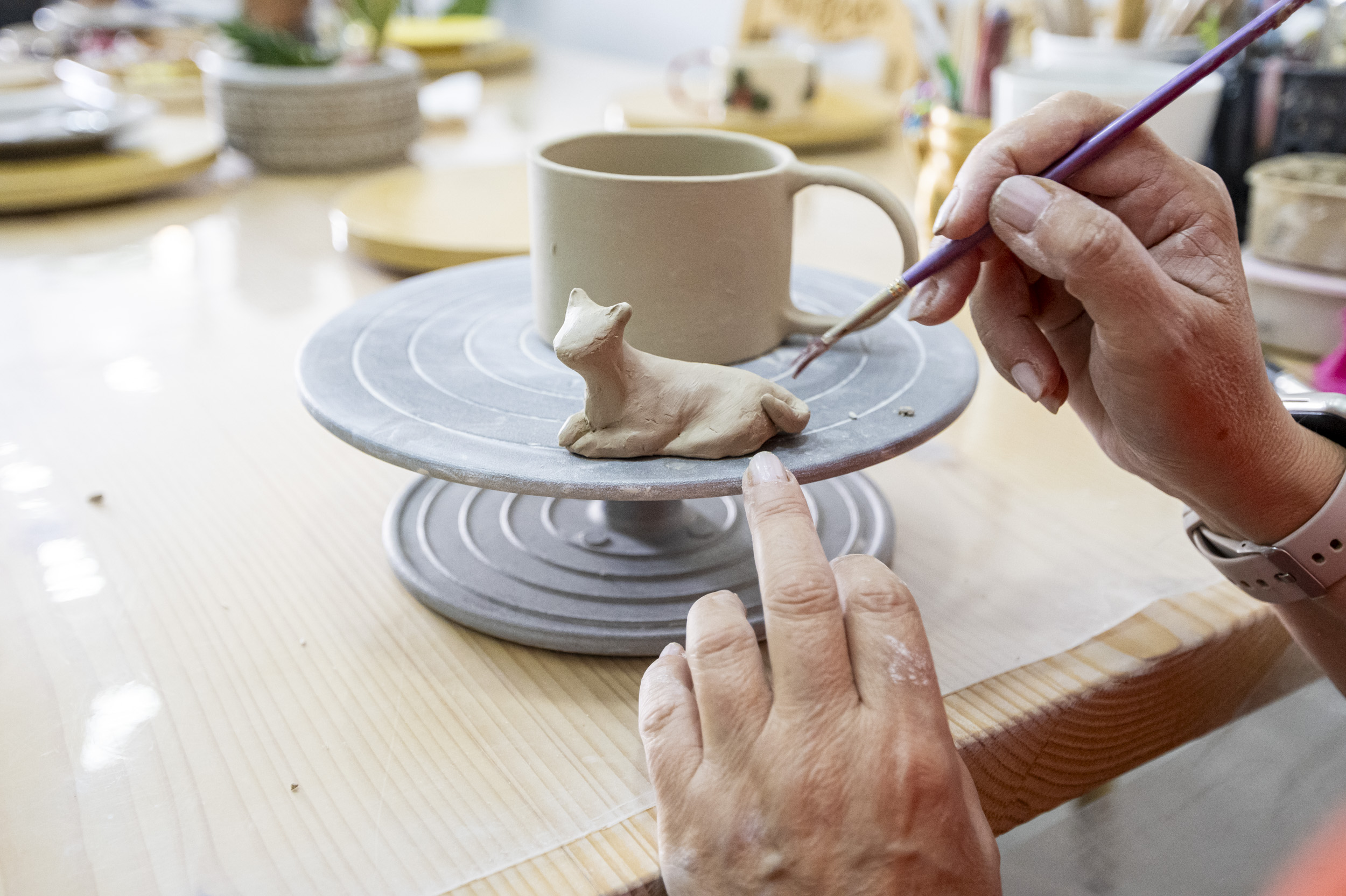 Kadinlar Üreti̇yor, Büyükşehi̇r Güç Veri̇yor (3)