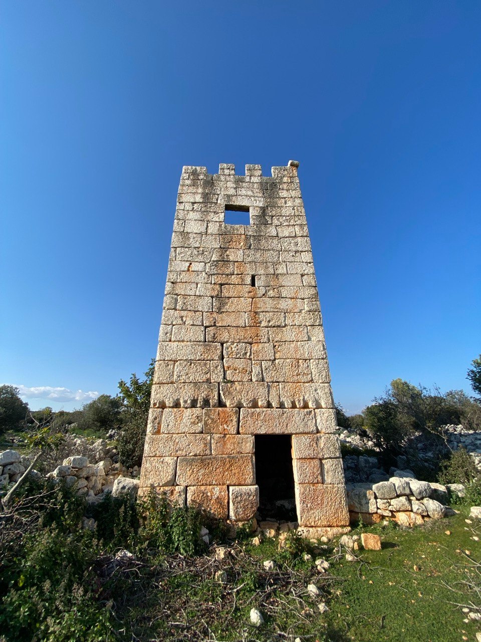 Whatsapp Image 2025 10 27 At 11.52.08