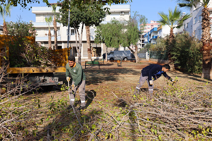 Ağaç Budama Ve Yeşil Alan Bakım (3)