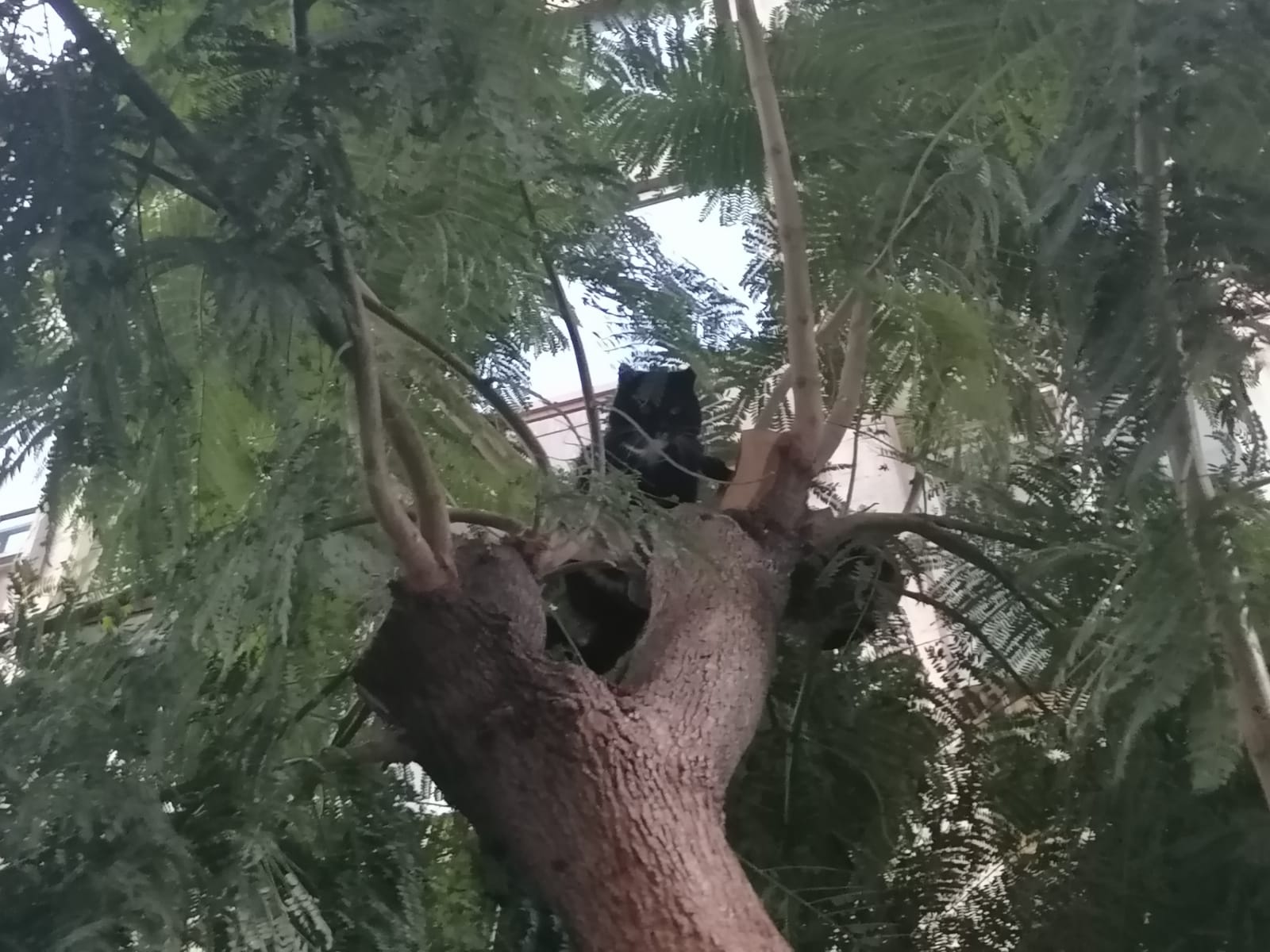 I M G 20251107 W A0127