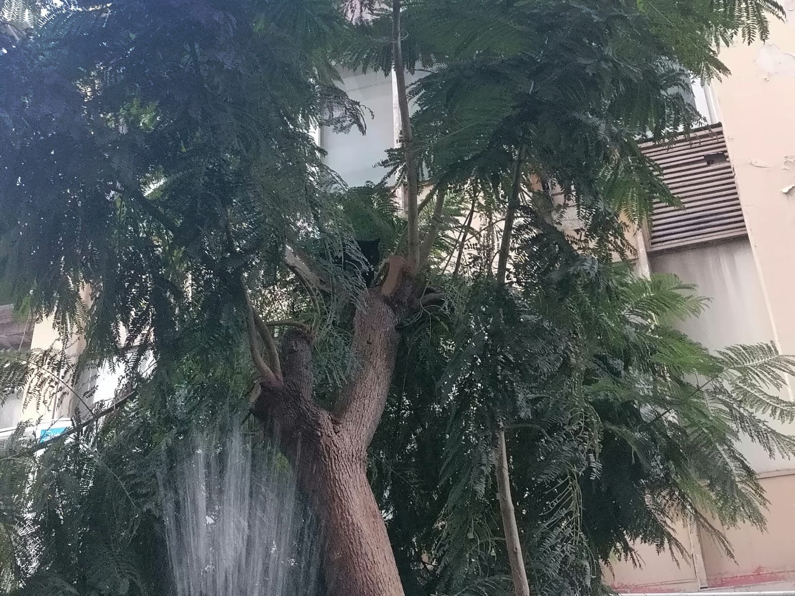 I M G 20251107 W A0136