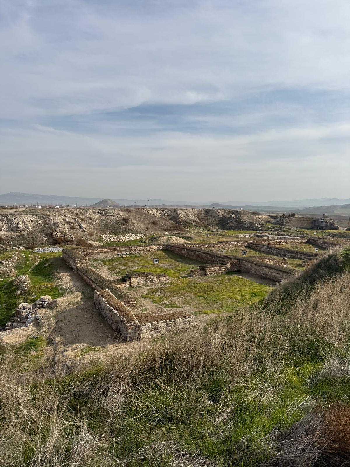 Whatsapp Image 2025 11 28 At 10.31.18 (1)