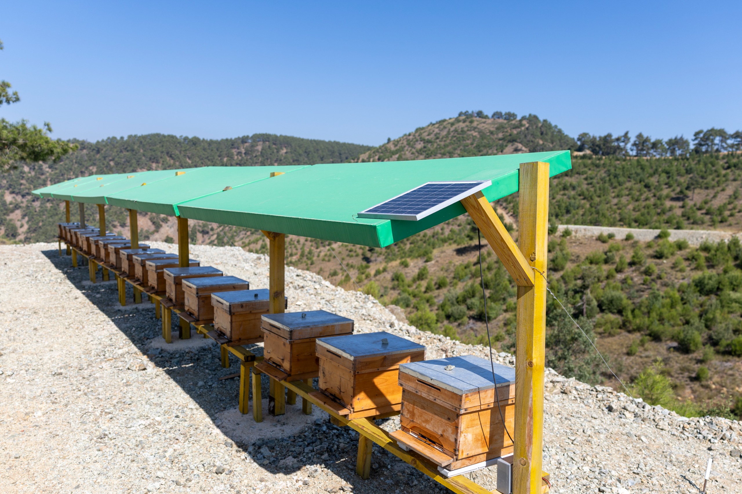 Yenişehir Belediyesi Arı Merası Kuran Türkiye’deki Ilk Belediye Oldu (15)