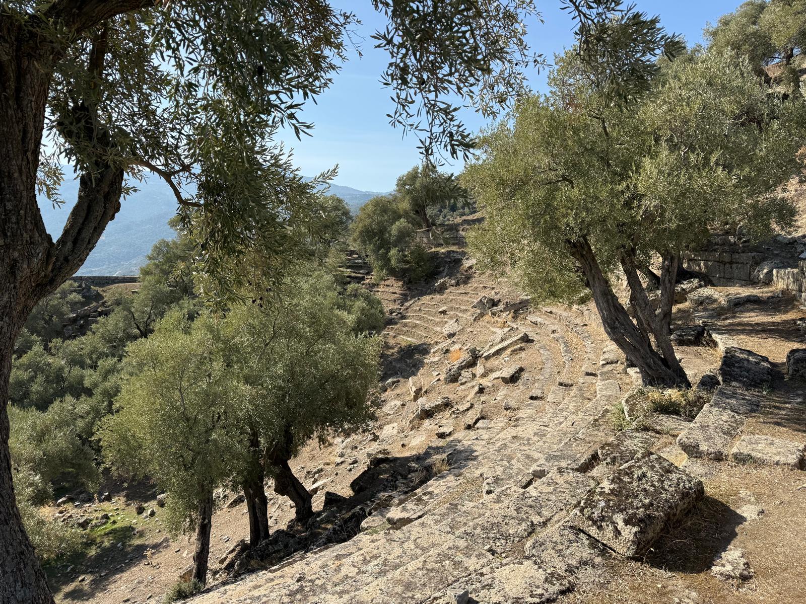 Whatsapp Image 2025 12 01 At 11.04.03 (4)