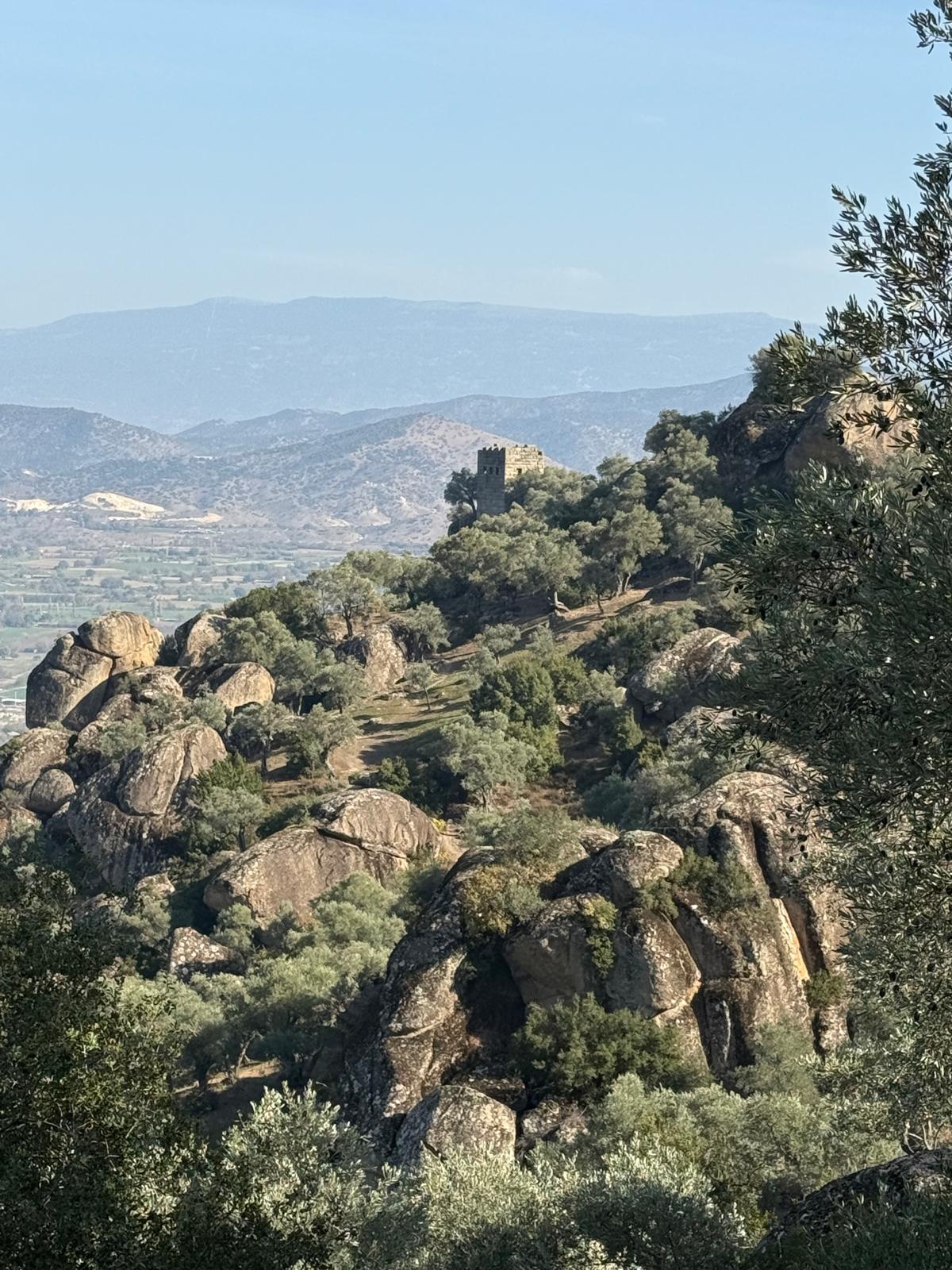 Whatsapp Image 2025 12 01 At 11.04.03 (5)