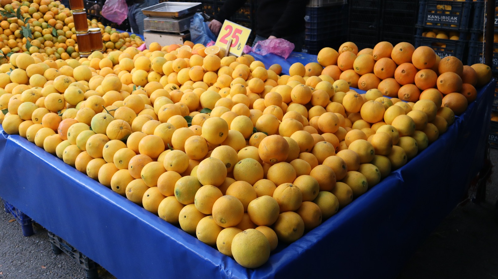 Whatsapp Image 2025 12 02 At 13.35.25 (4)