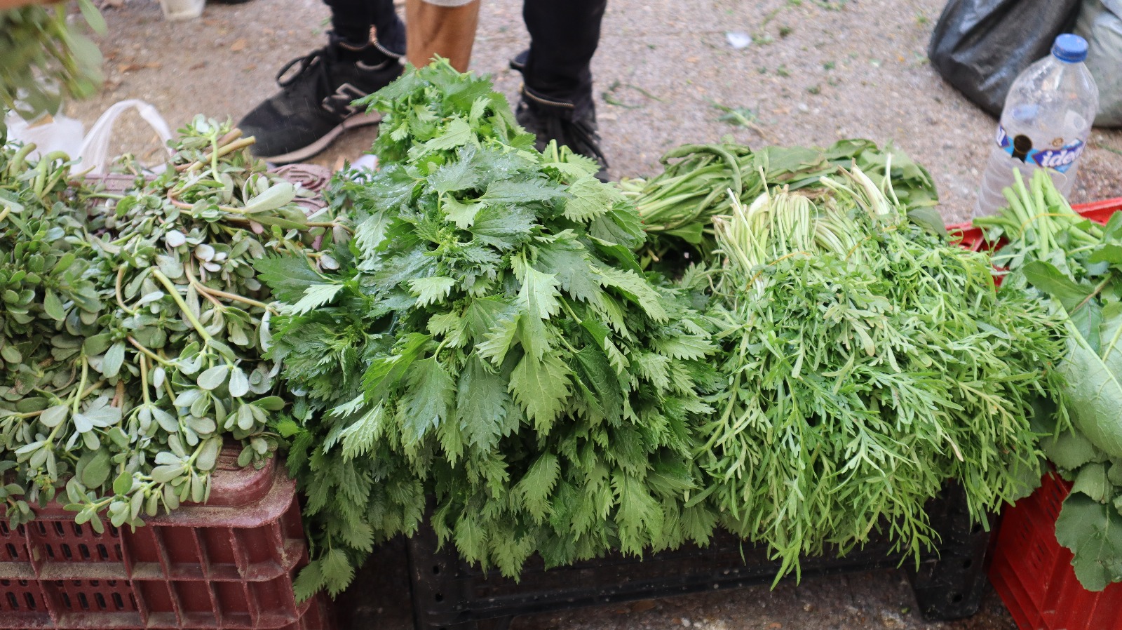 Whatsapp Image 2025 12 02 At 15.43.04 (2)-1