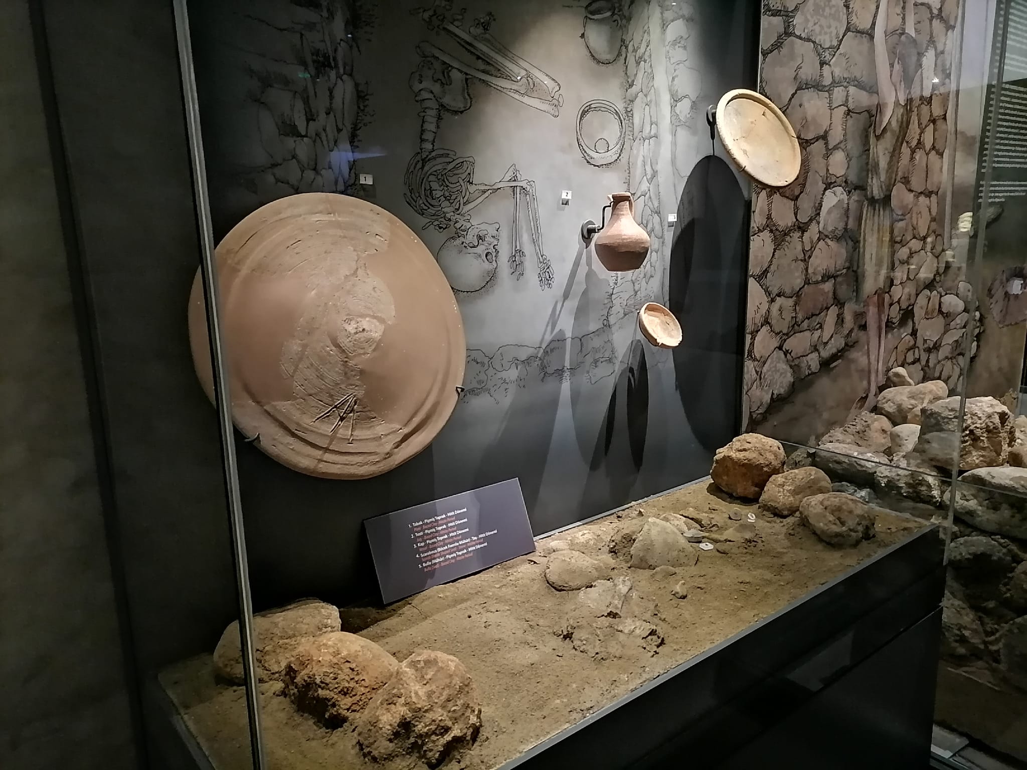 I M G 20251006 W A0246