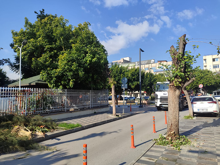 Mersinbuyuksehir (6)