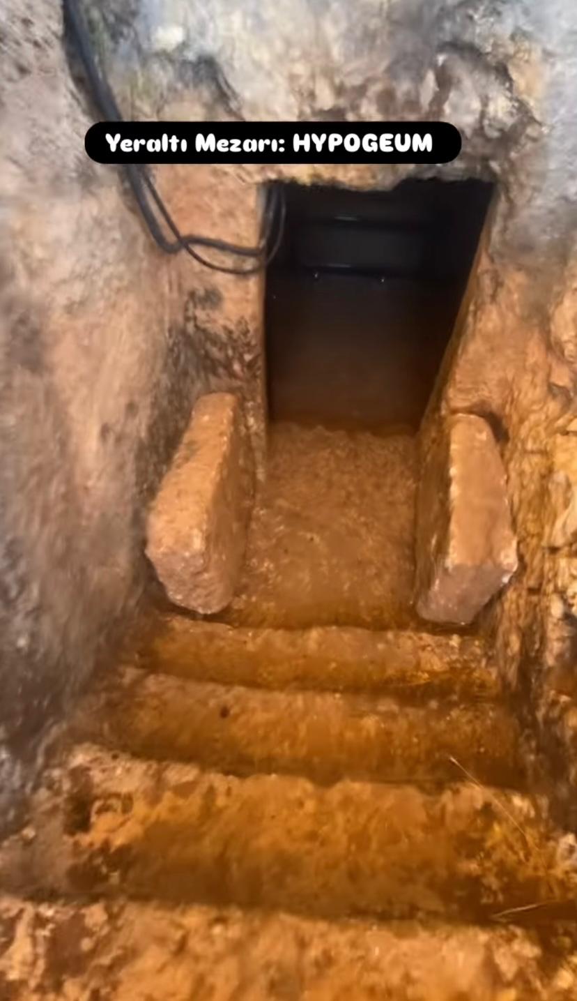 Whatsapp Image 2026 01 02 At 14.06.47 (1)-1