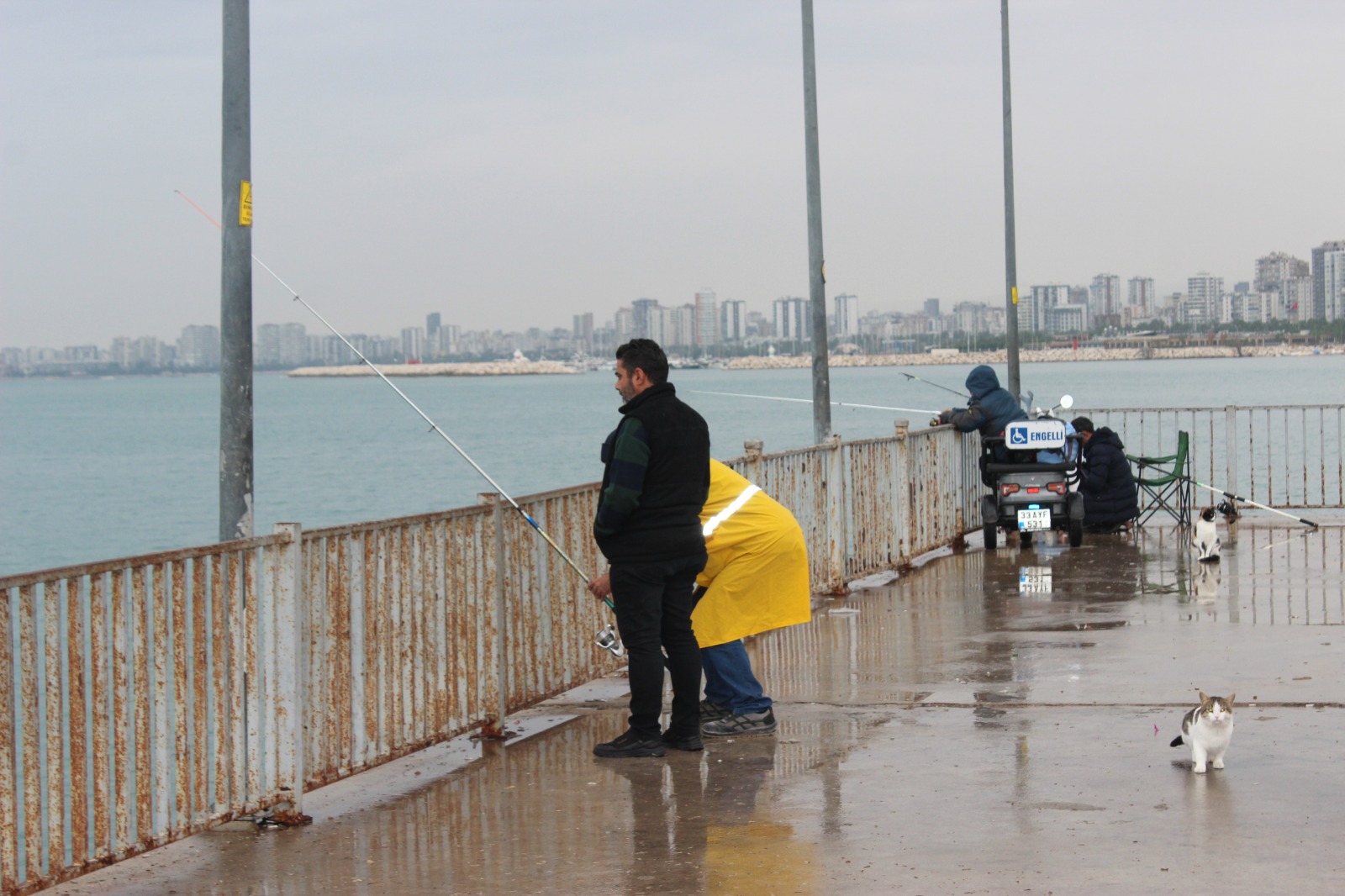 Whatsapp Image 2026 01 09 At 15.13.54 (1)