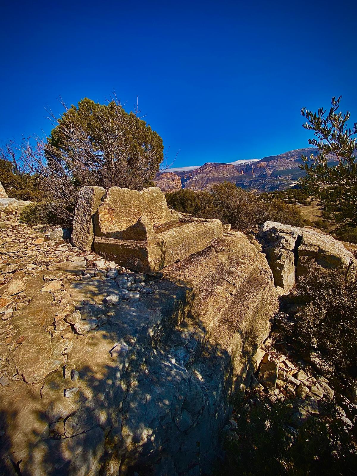 Whatsapp Image 2026 01 23 At 09.12.09 (1)