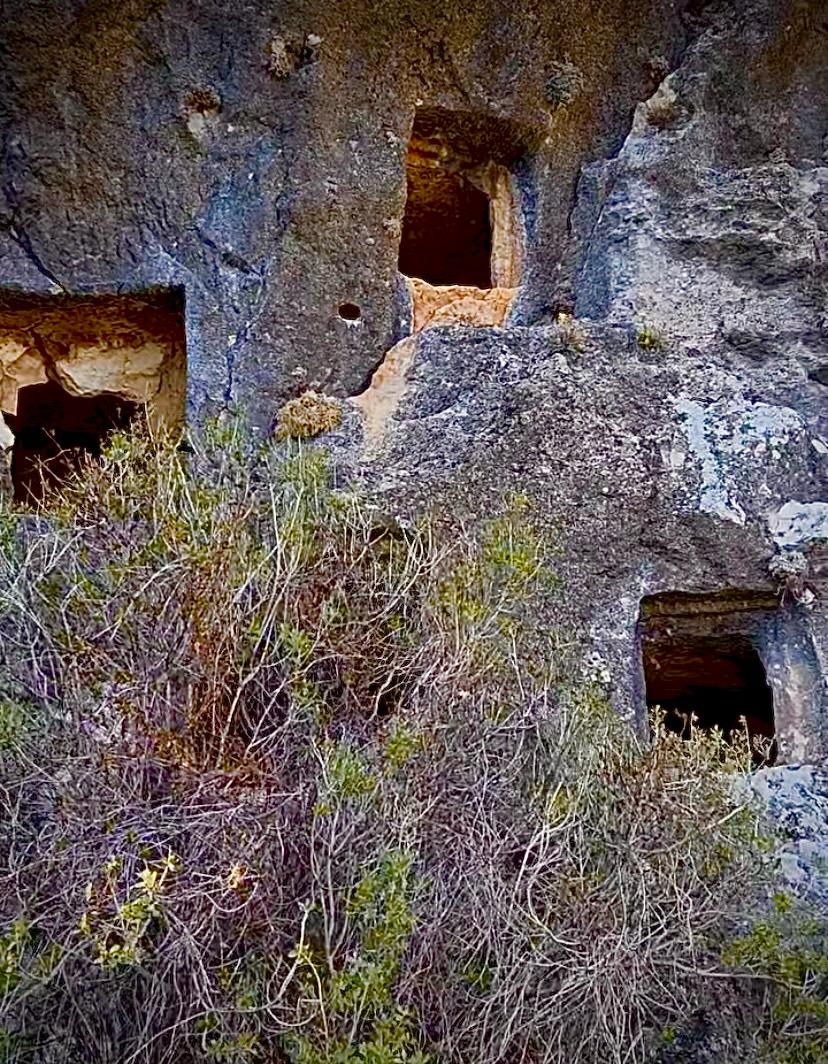 Whatsapp Image 2026 01 23 At 09.12.09 (5)