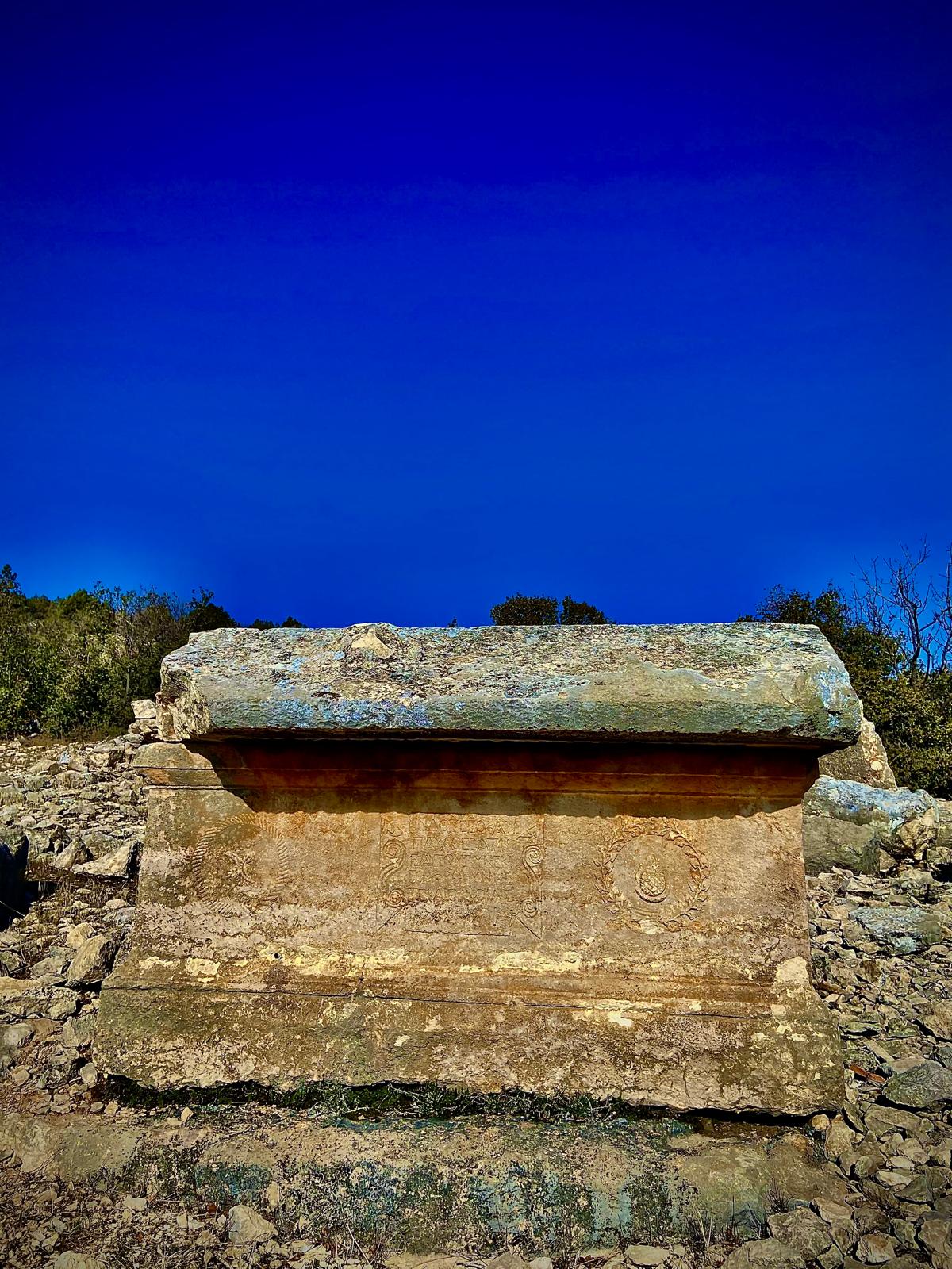 Whatsapp Image 2026 01 23 At 09.12.09