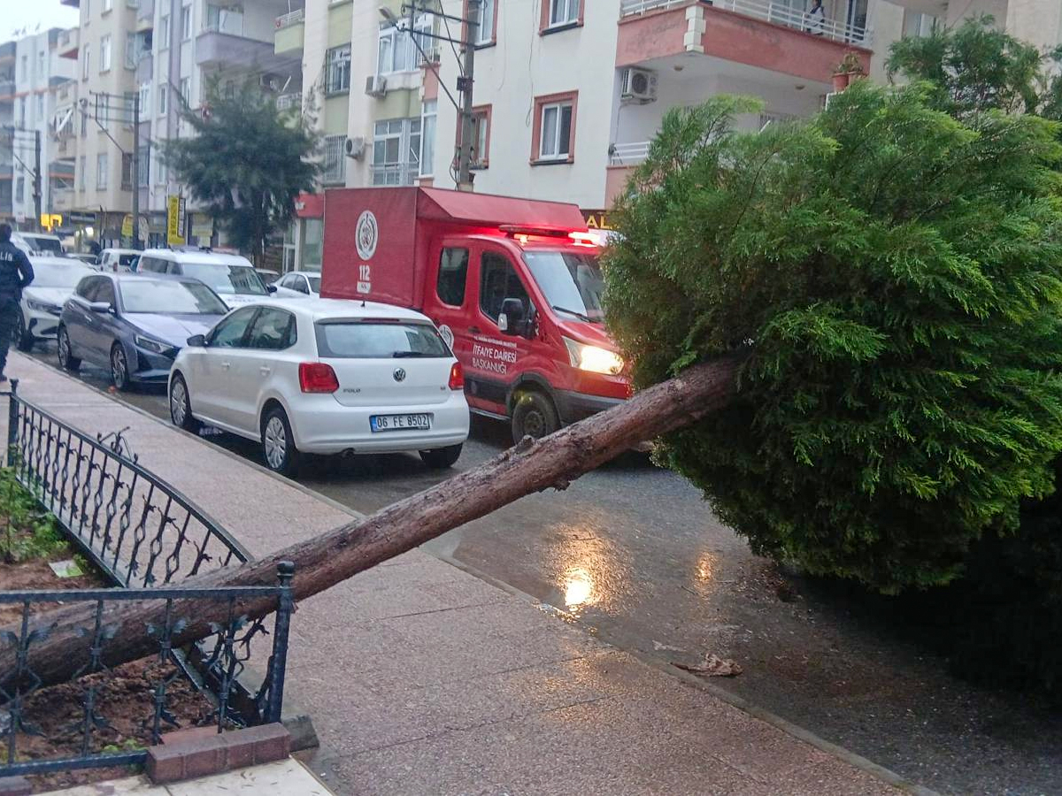 Başkan Özyiğit Sahadayız, Vatandaşımızın Yanındayız! (4)