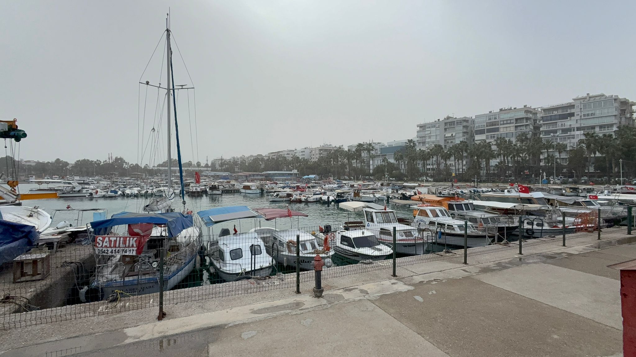 Whatsapp Image 2026 02 02 At 16.24.07