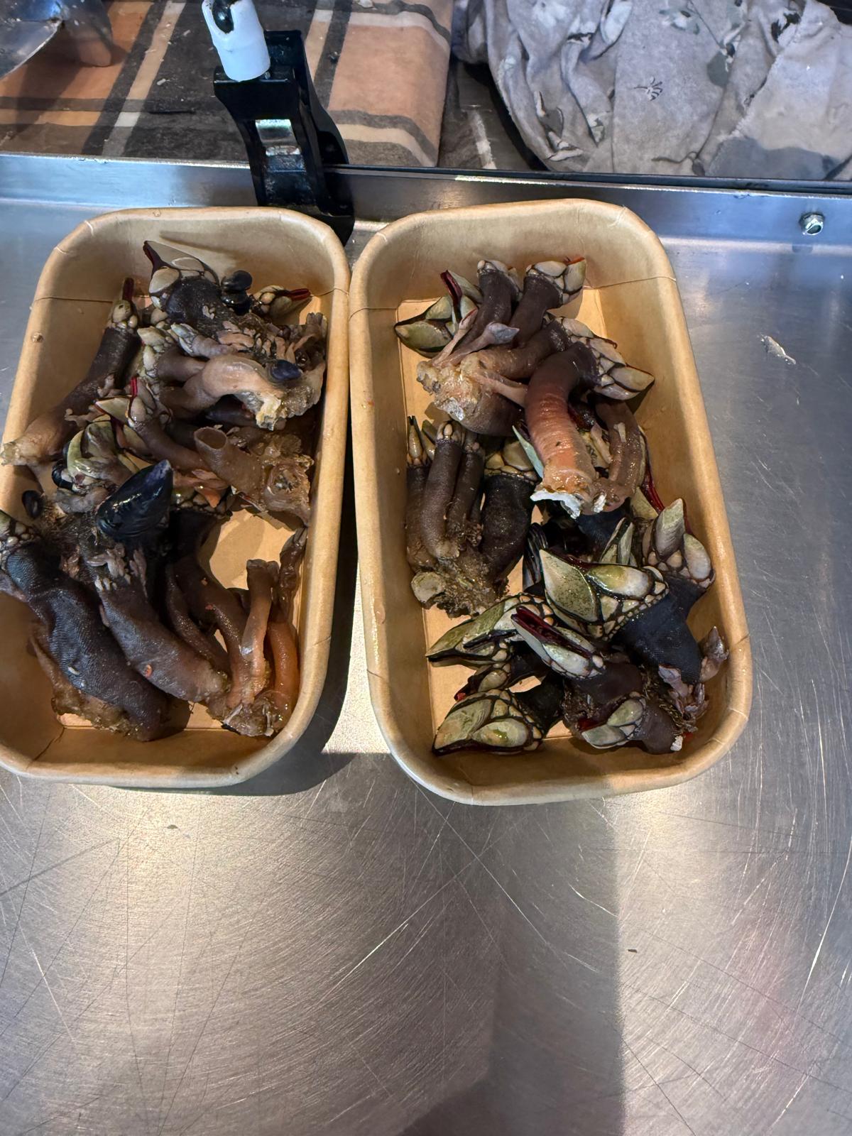 Whatsapp Image 2026 02 04 At 14.52.18 (1)