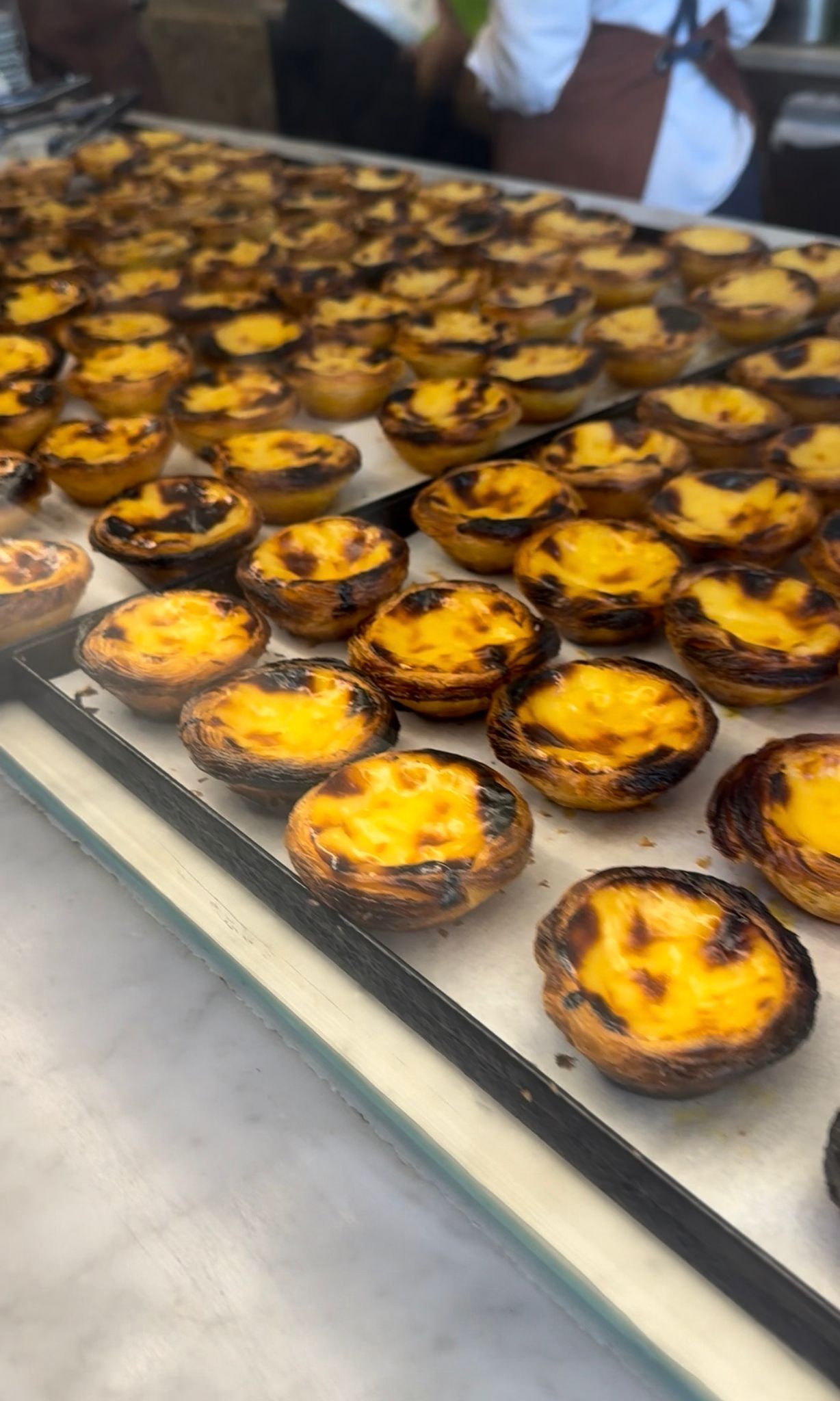 Whatsapp Image 2026 02 04 At 15.41.12