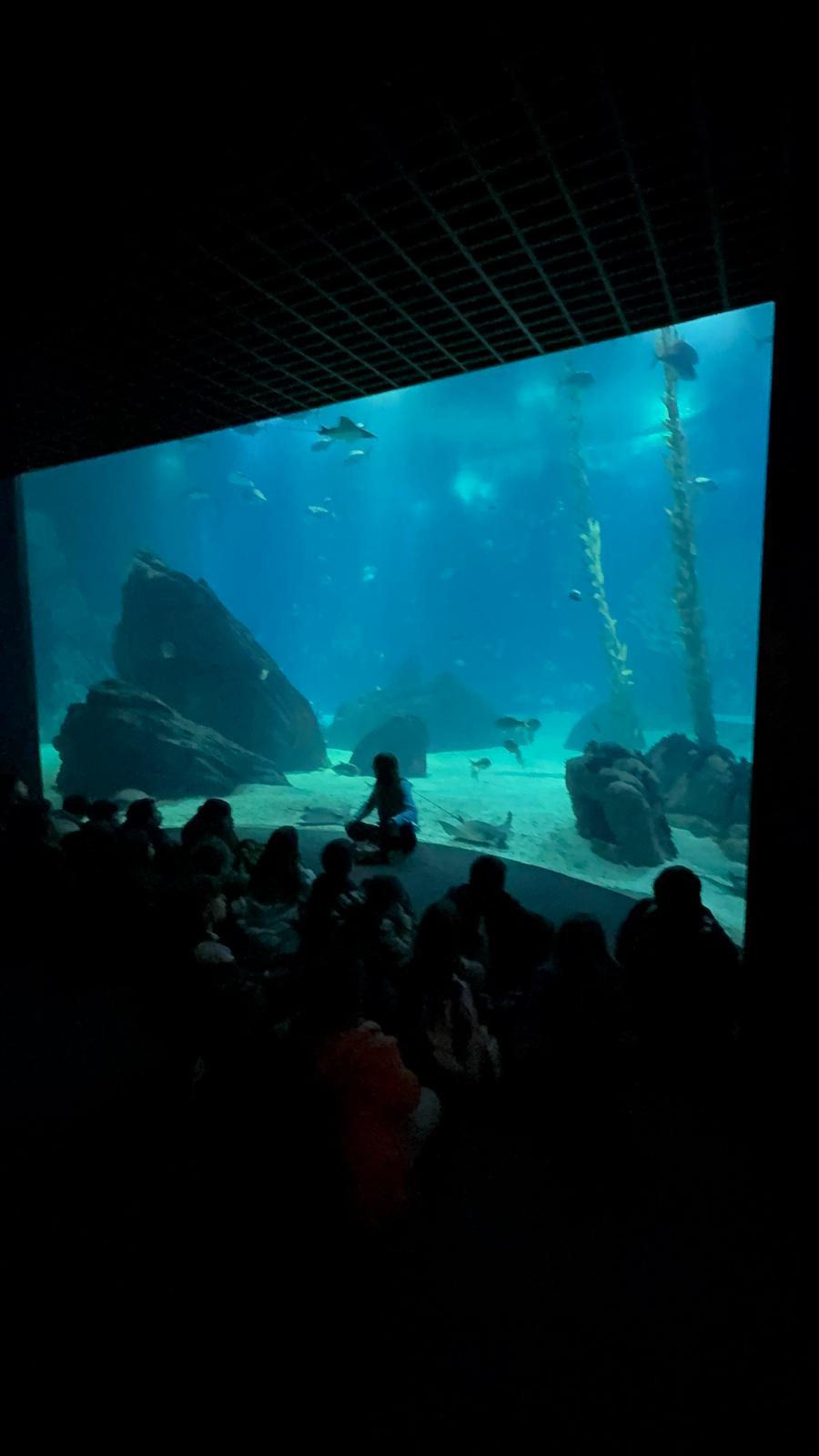 Whatsapp Image 2026 02 06 At 13.16.52 (7)