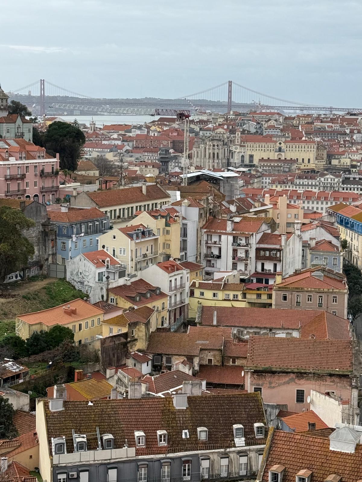 Whatsapp Image 2026 02 06 At 13.42.34