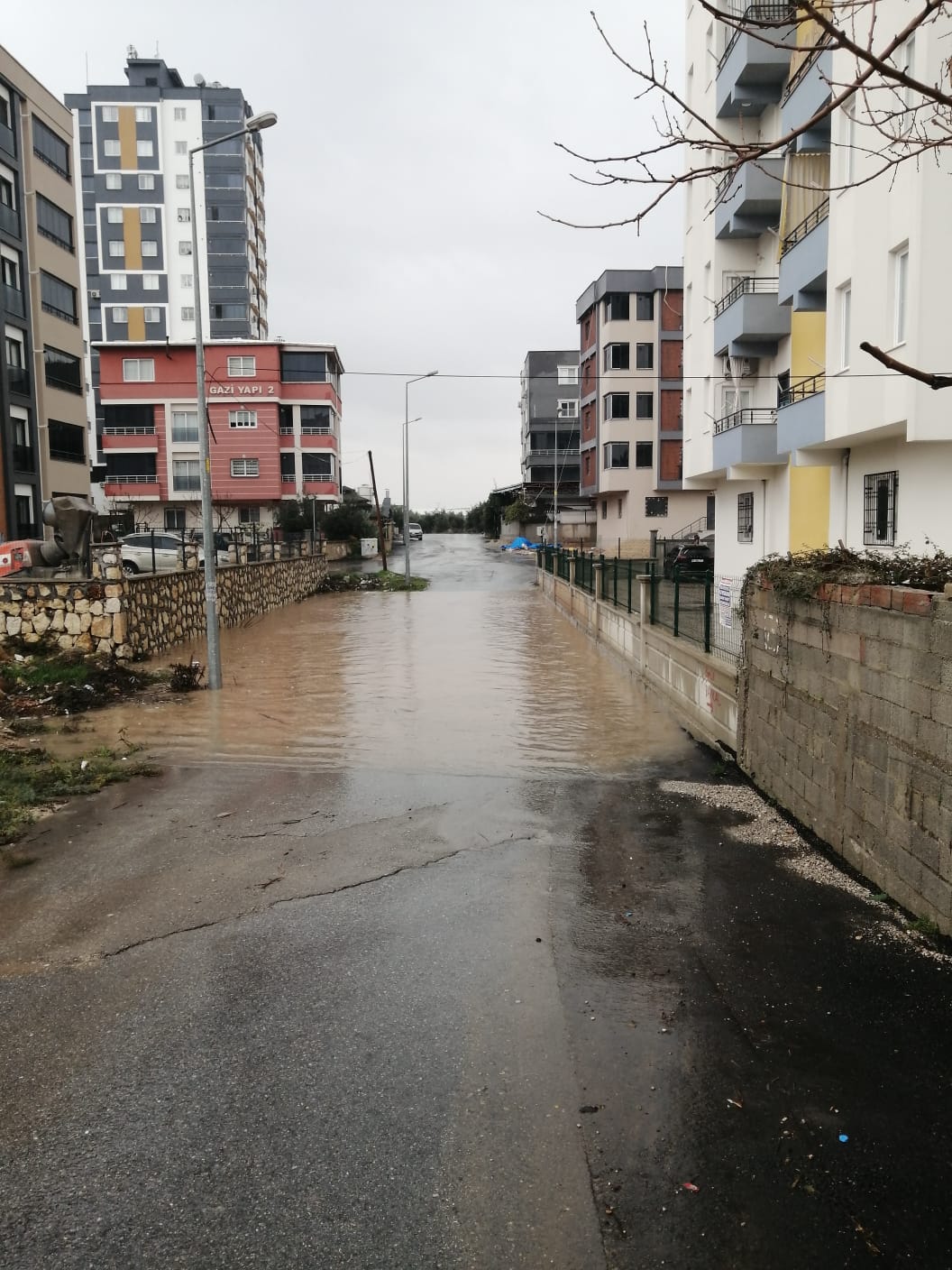 Whatsapp Image 2026 02 13 At 10.41.25 (1)